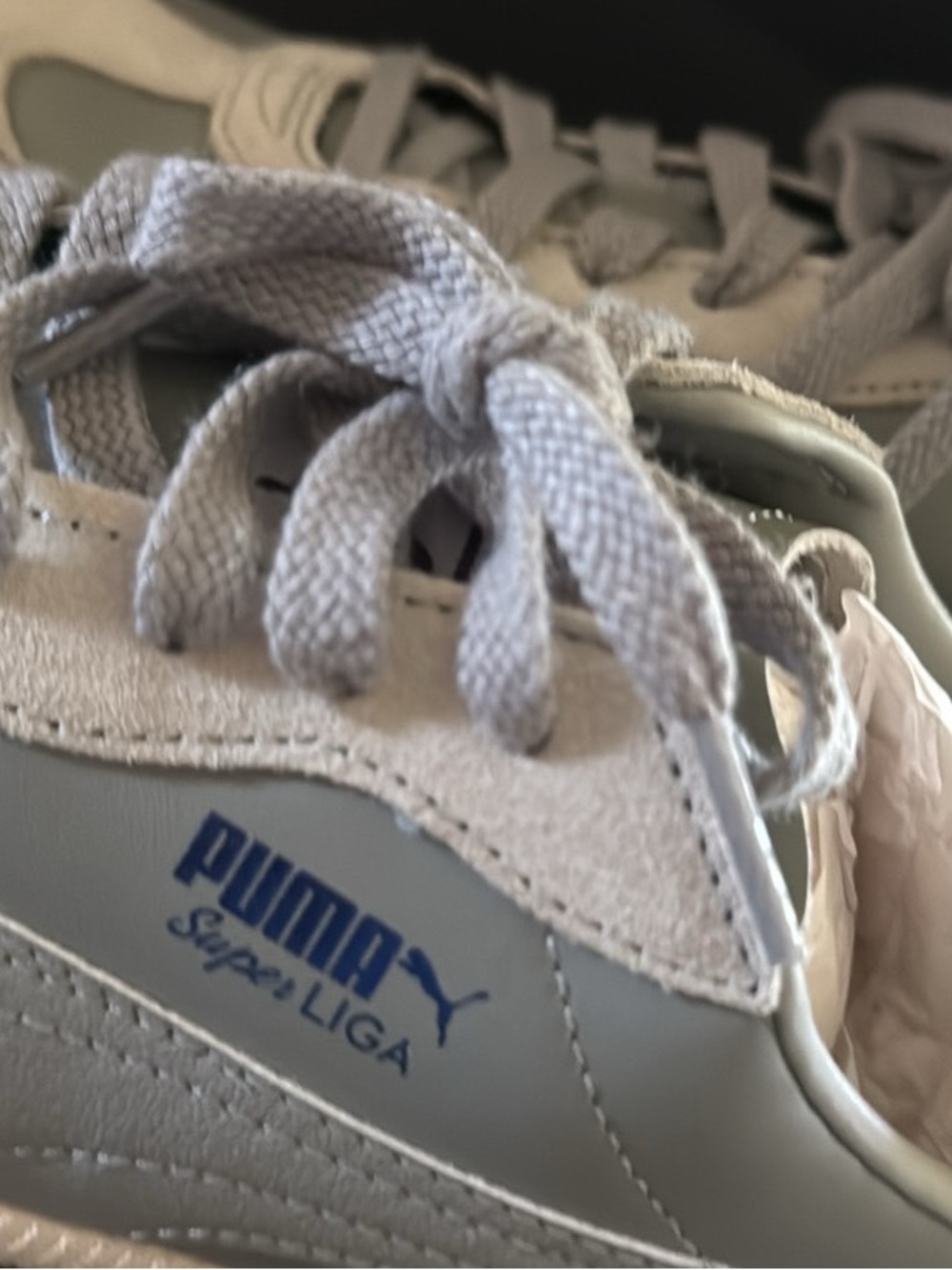 Puma Sneakers in Light Gray with Blue Logo